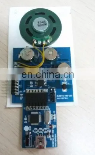 USB Mini Toy Voice Recorder photo-3