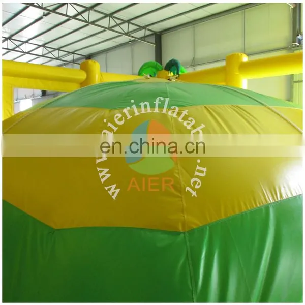 2017 Aier Hot Sale Yellow Air Mountain Extreme Games/inflatable Sport Games for Sale photo-5