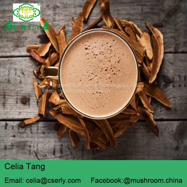 Reishi Mushroom Powder