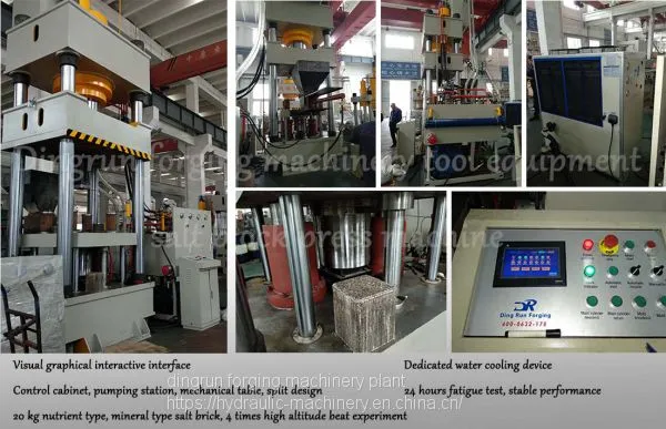 500 Ton Hydraulic Press Machine for 5kg~10kg Salt Lick Block Press photo-3