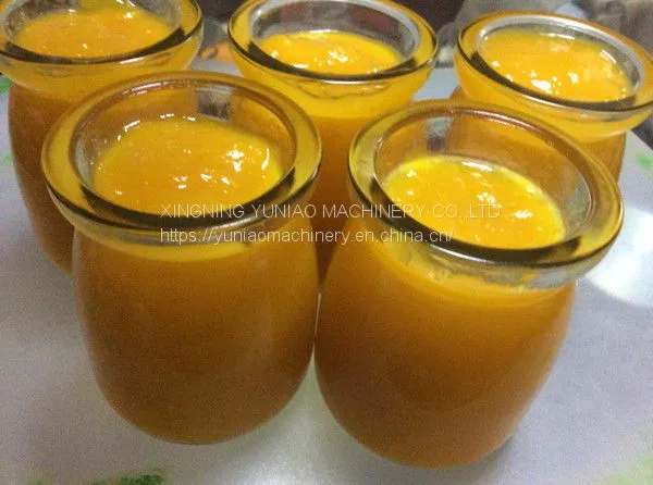 Stainless Steel Tomato Paste Processing Machine Mango Pulper Fruit Puree Vegetable Pulp Making Machine WT/8613824555378 photo-5