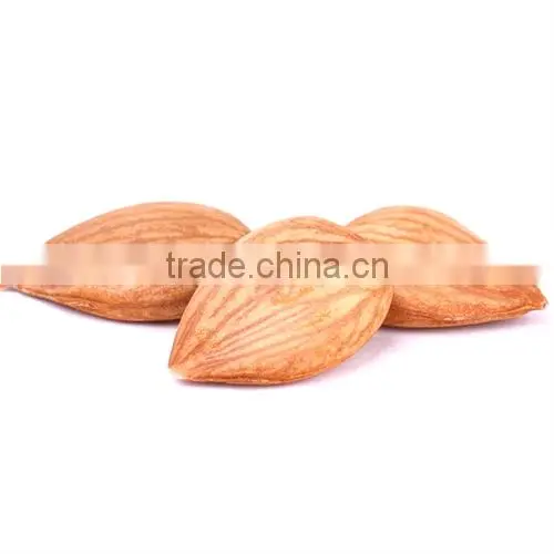 Organic Bitter Apricot Kernels