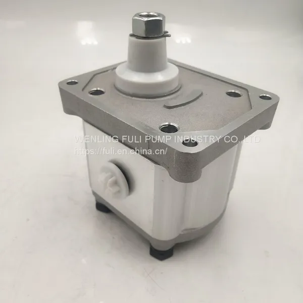 Hot Sales Genuine Parts Hydraulic Gear Pump for Fiat 480SH photo-3