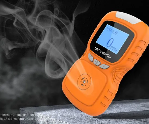 China Portable Flammble Gas Detector For People Safety photo-2