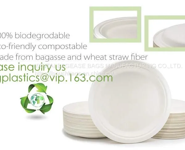 Eco Friendly Biodegradable Sugarcane Bagasse Tableware Sets Disposable Paper Pulp Plate 6 Inch Round Disc Bagease Packag photo-2