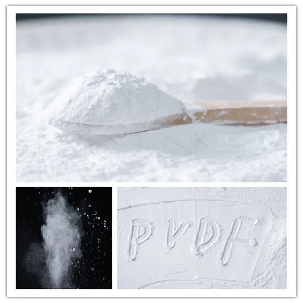 Virginal PVDF Micropowder photo-2