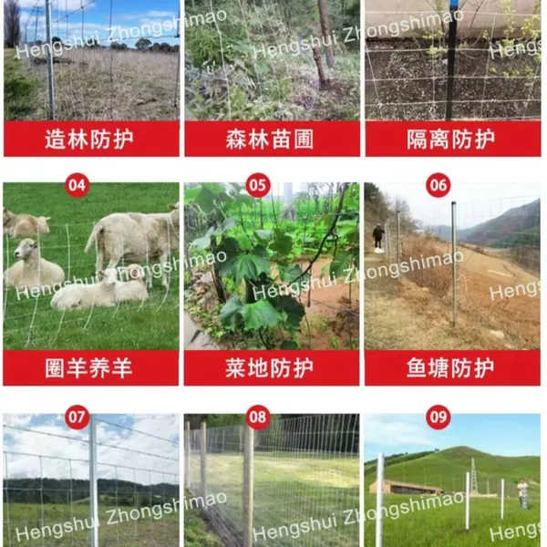Wire Mesh for Grassland Wire Mesh Fence photo-3
