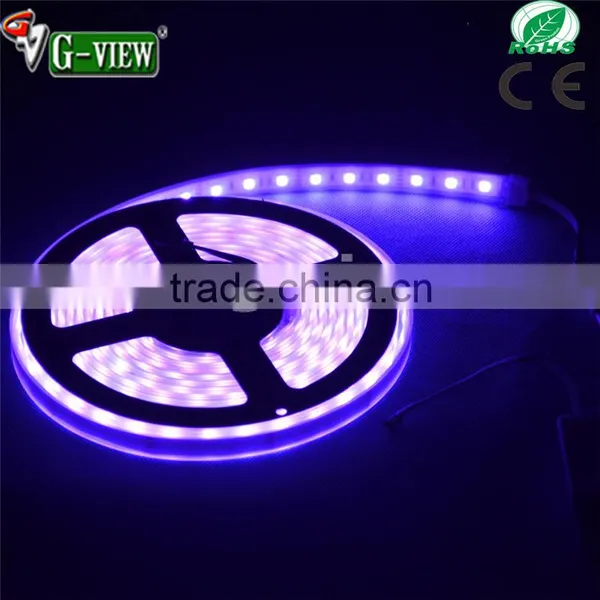 Best Seller High Quality 5050smd Waterproof PVC Auto Led Strip Lights 5050 Red Blue White RGB 12V/24V Led Flexible Strip Lamp photo-6