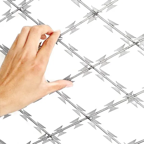 304 Stainless Steel Galvanized Barbed Wire (BTO-22, CBT-65) Razor Barbed Wire photo-2