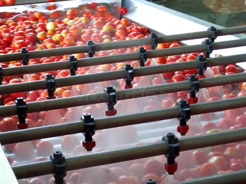 Big Capacity Hot Selling Tomato Sauce Production Line Tomato Sauce Processing Machinery photo-5