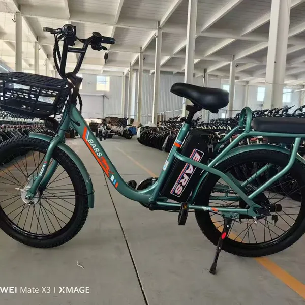 ELECTRIC BICYCLE photo-2