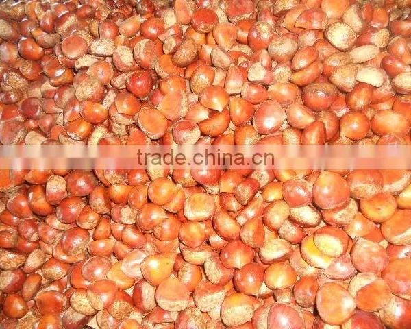 Fresh Chestnut photo-2