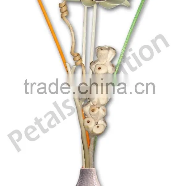 Decorative Reed Diffuser Set