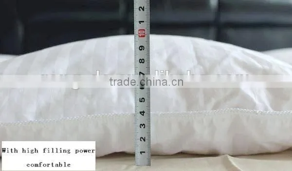 Luxury Germany Piping Edge White Goose Down Quilt photo-4