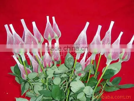 Netting for Cut Flowers