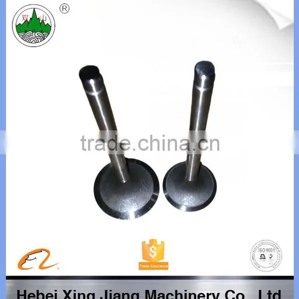 Engine Parts Valve in Hebei photo-3