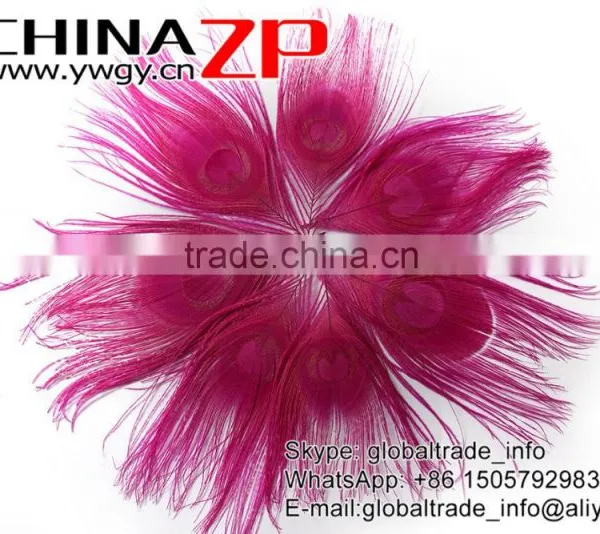 No.1 Supplier ZPDECOR Wholesale Selected Prime Quality Dyed Hot Pink Trimmed Short Peacock Feathers for Decoration photo-2