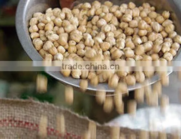 Export Quality Chickpeas
