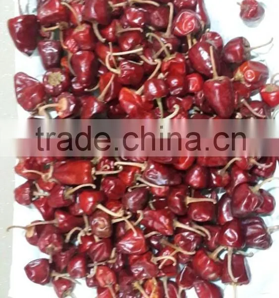 Round Red Chilles From Ramnad
