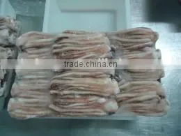Frozen Todarodes Squid Tentacles photo-4