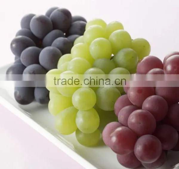 High Quality Newest Big Black Red Grape Seeds for Planting photo-5