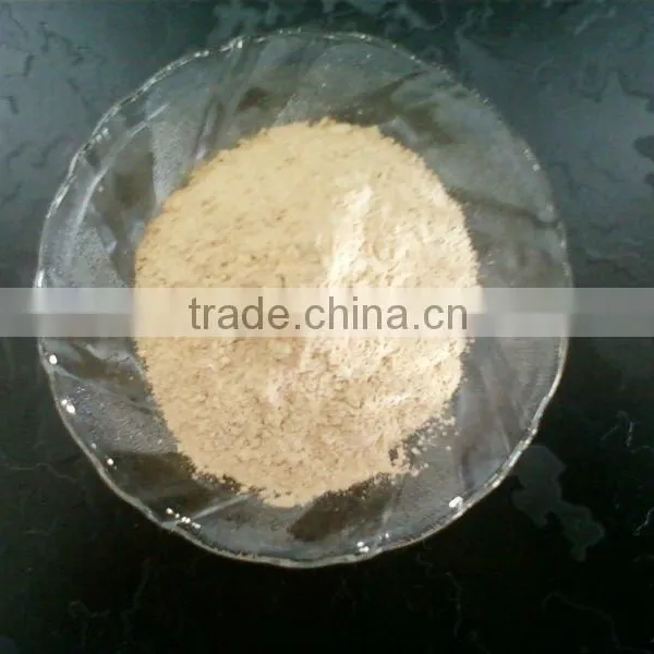 BEST WHITE GARLIC POWDER DRY FOR EXPORT photo-6