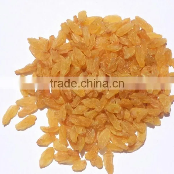 Dried Golden Raisin Premium Grade