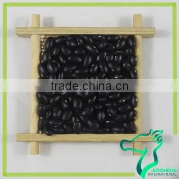 Black Beans Mexican/Black Beans With Kernel