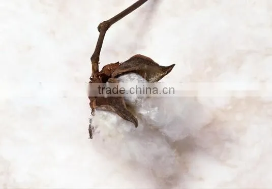 Hot Sale Cotton Fiber Opening Machine|Electric Fiber Teasing and Carding Machine photo-4