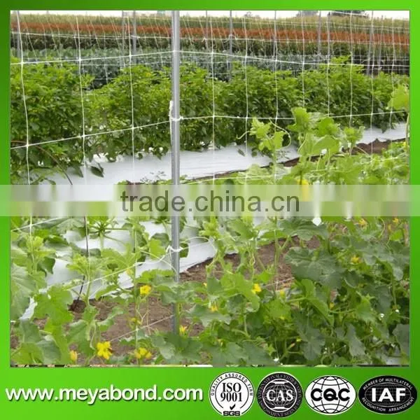 High Quality Climbing Plant Support Net photo-3