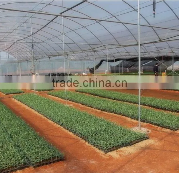 Good Daylighting Glasshouse Big Shed,greenhouse for Agriculture,frp Hothouses From Suppliers photo-6