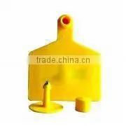 Plastic Livestock Ear Tag With Yellow Color photo-3