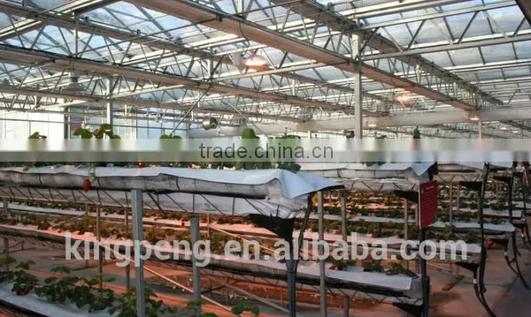 Tomato Hydroponic Float Glass Agriculture Greenhouse photo-2