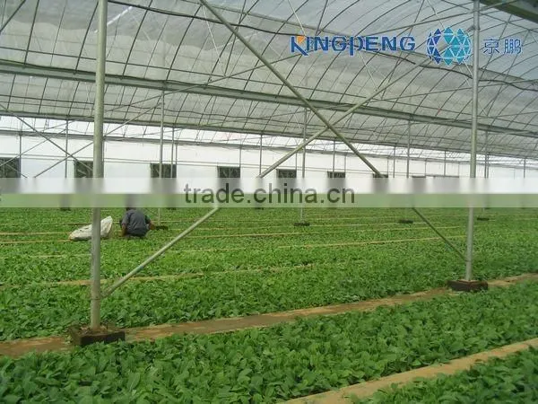 Agricultural Plastic Film Greenhouse With Arch Roof photo-3
