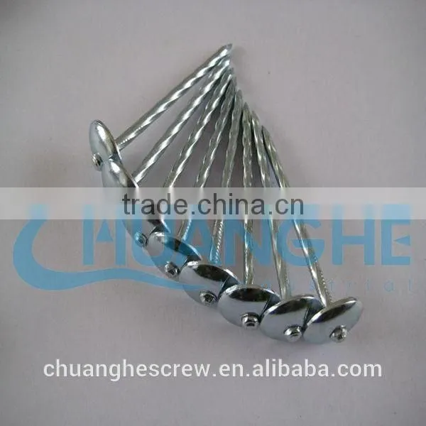 Umbrella Head Roofing Nails Factory Super Price photo-4
