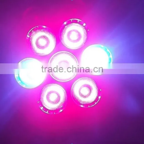 Online Led Lighting Shop Sell Lights Used to Grow Plants That Grow From Bulbs photo-4