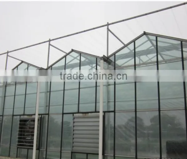 Orchid Greenhouse/glass Greenhouse for Sale/greenhouse Agriculture