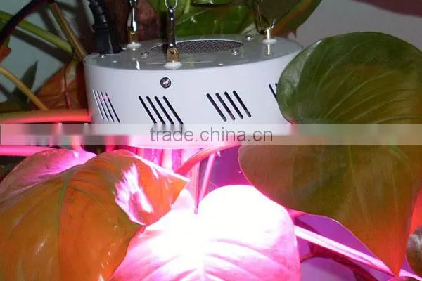 300W UFO Led Grow Light Full Spectrum Grow Lights Led Plant Lamps With UV/IR Led Bulbs for Hydroponic System photo-5