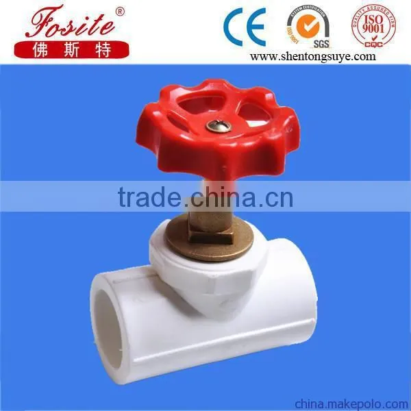 China Manufacturer Cold and Hot Water Supply Ppr Pipe photo-4