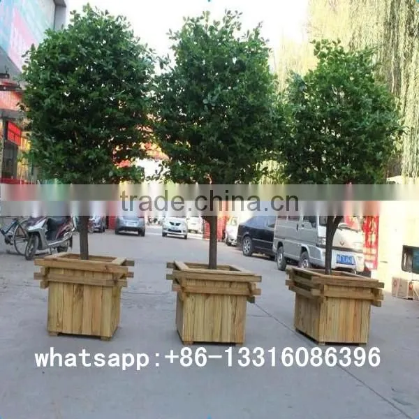 LXY082417 Different Types of Plants and Trees Cheap Artificial Trees Banyan Tree Bonsai