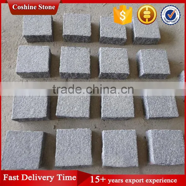 Flamed Black China Granite Walkway Pavers With Net Paste photo-4