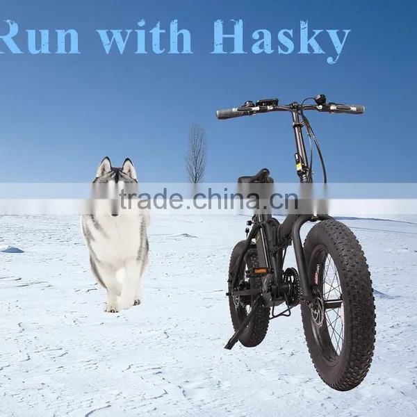20 Inch OEM Fat Tyre Electric Fold Bike 250w With Suspension Front Fork photo-3