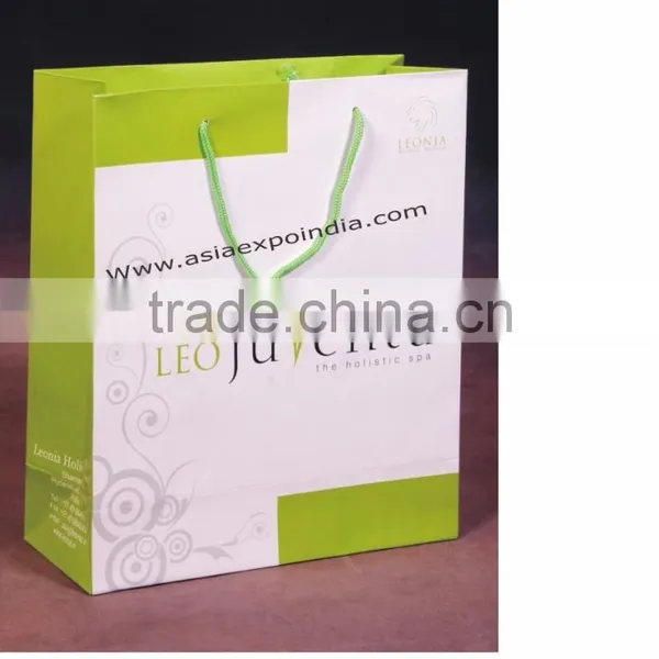 Paper Promotion Bag / Paper Gift Bags photo-2