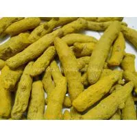 Curcumin photo-3