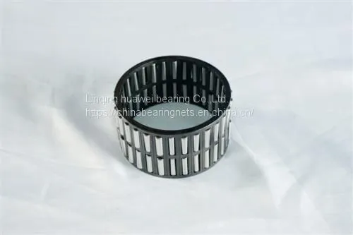 Bearing Capacity Large Needle Bearing Needle Bearing NAV3940 NA4901 HF2520