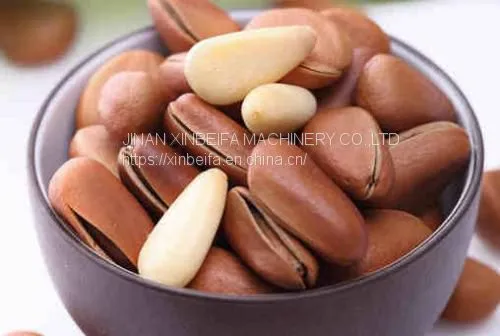 Pine Nut Kernel Drying Machine photo-5