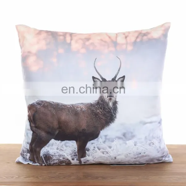Ins Sofa Cushion Cute Fox Dog Animal Square Decorative Throw Pillows Case Cushion Covers photo-4