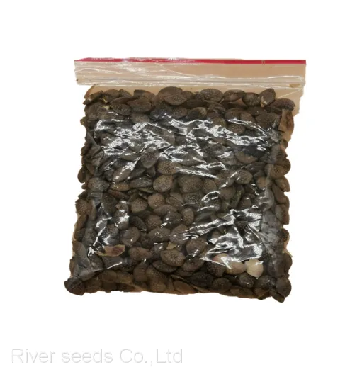 1KG Bulk Wholesale Passiflora Edulis Fruit Tree Seeds Hybrid Passion Fruit Seeds for Sale photo-2