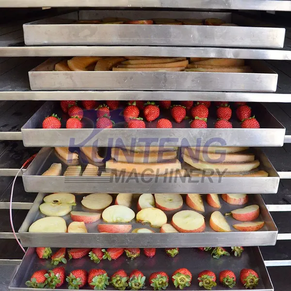 Efficient Industrial Durian Apple Slices Strawberries Okra Potatoes Milk Vacuum Freeze-drying Machine photo-4