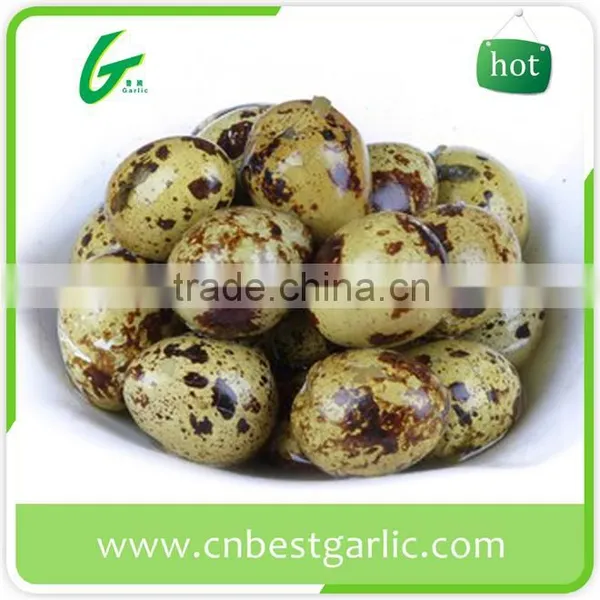 Import Fresh Quail Eggs photo-5